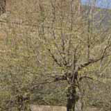 Hier könnte Ihre Kirche verlinkt sein!