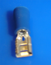 Foto Flachsteckhülse 4,8mm blau isoliert
